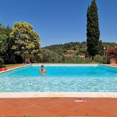 La Romita Ospitalita Rurale Familiare Villa Montisi Exteriör bild