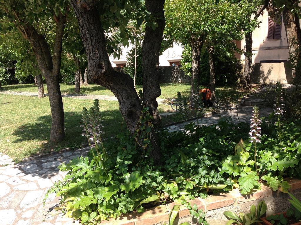 La Romita Ospitalita Rurale Familiare Villa Montisi Exteriör bild